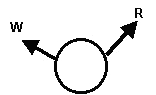 Wimps Rambos Split marking