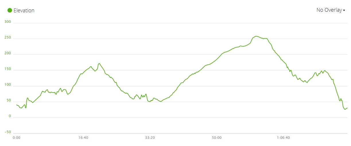 Chai Wan 151111 elevation