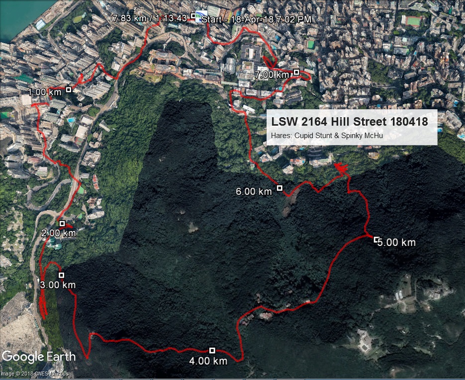 Hill Street 180418 7.83km 73mins