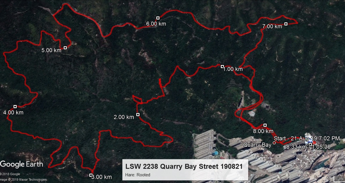 Quarry Bay Street 190821 8.33km 65mins